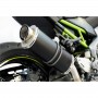 Kawasaki Z 900 2017/2020 POWER 